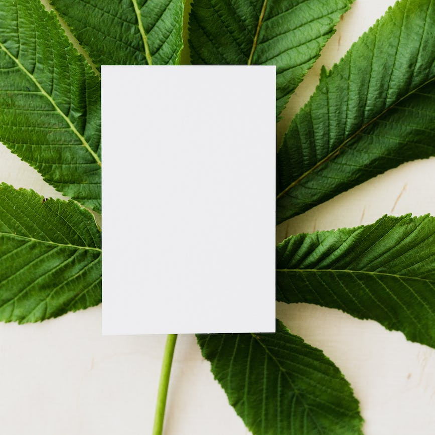 How can you teach Business English with minimal experience of being in the business&nbsp;world?